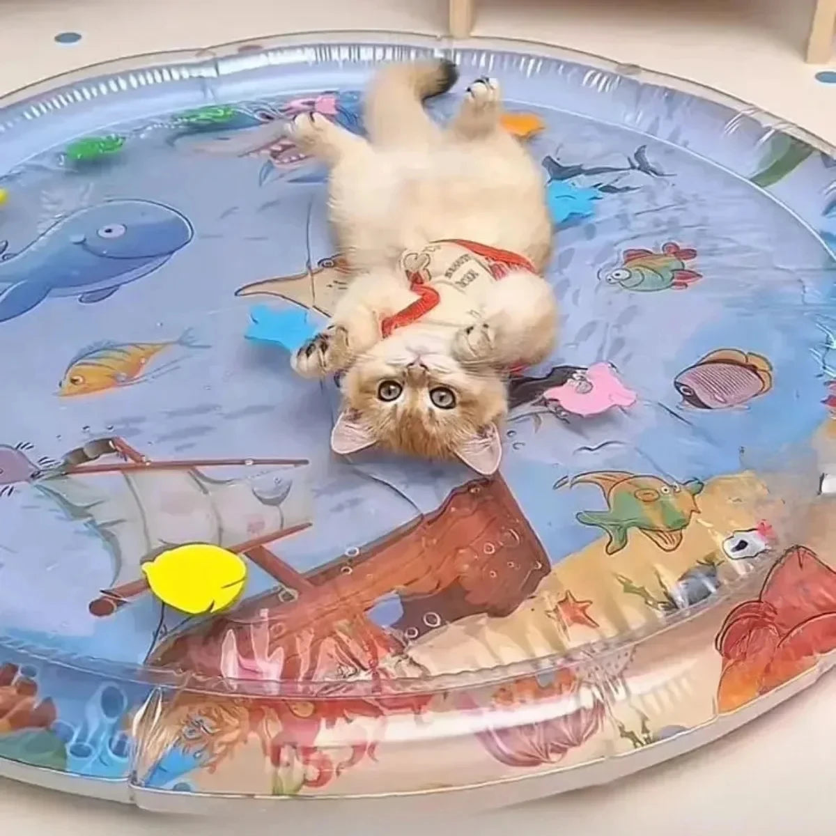 Pet Water Cushion